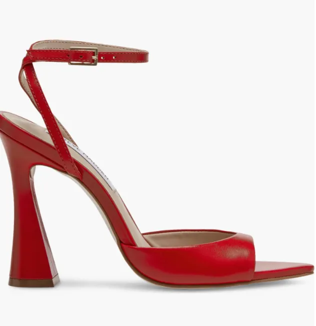 Ankle Strap Pointed Toe Block Heel