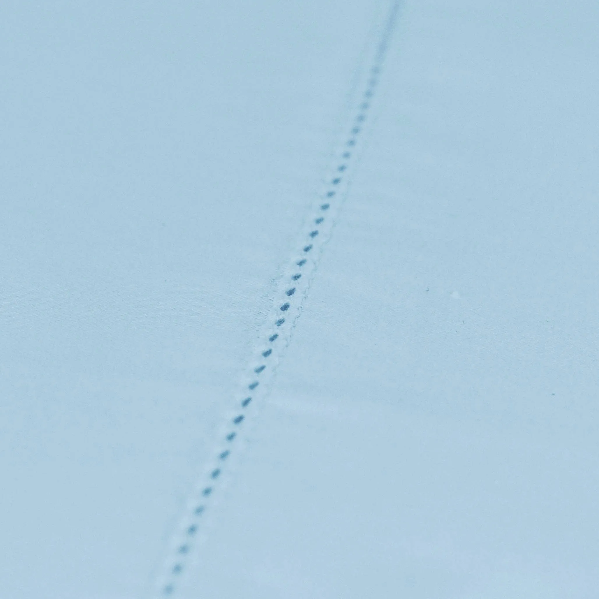 Easy Care 1,000 Thread Count Sheet Set with Extra Pillowcases