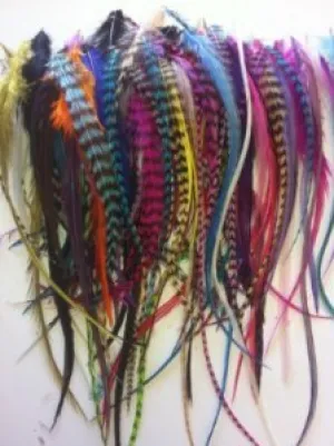 Feather Hair Extension – 100 Individual Feathers, Rainbow Mix of Grizzly and Solid Feathers, All Ranging From 4 to 7 Inches or Longer, Includes 20 Silicone Micro Beads