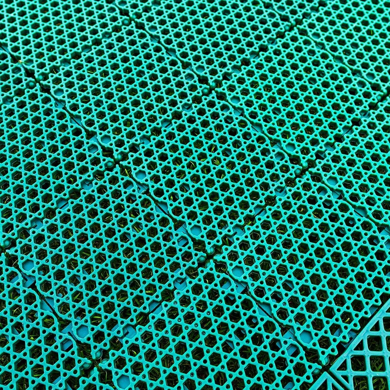 FORTRESS Instant Cricket Pitch Matting - 6X Lengths | Ideal for Backyard Practice & Matches | Easy Set Up - No Installation | Durable Indoor/Outdoor Roll Mat