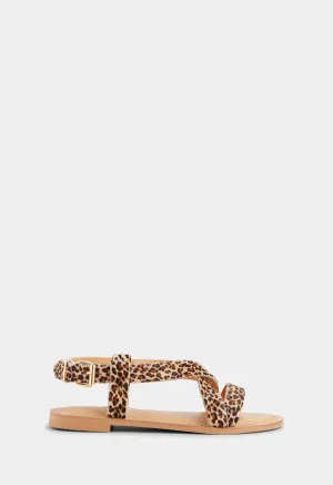 Laura - Leopard