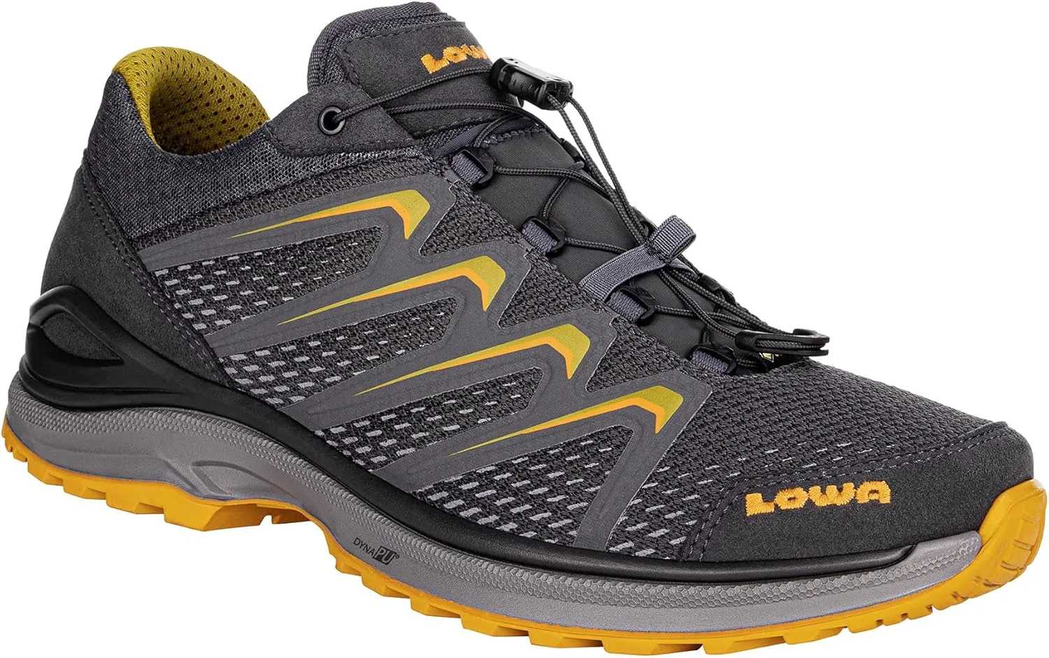 Lowa Adult Maddox GTX LO grau