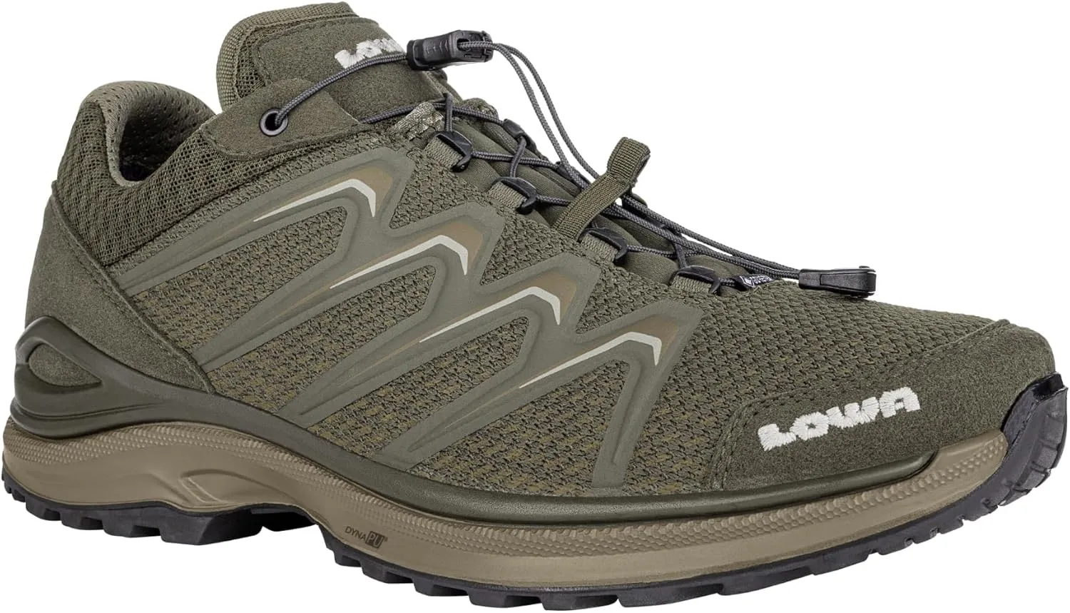 Lowa Adult Maddox GTX LO grau