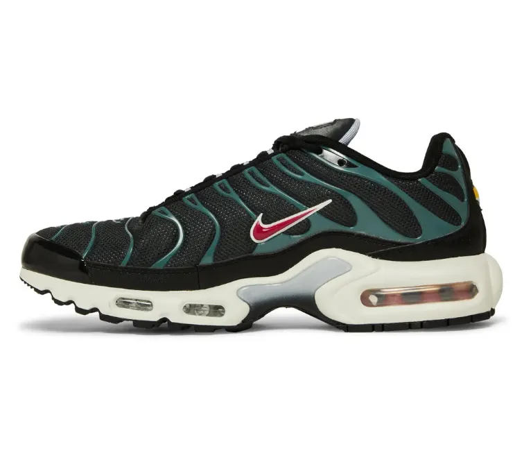 Men's Nike Air Max Plus TN (Anthracite/Teal)