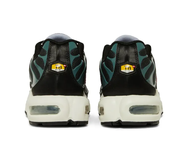 Men's Nike Air Max Plus TN (Anthracite/Teal)